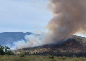 Declaran Alerta Roja en Zapallar y La Ligua por incendio forestal: piden evacuar el sector La Foresta.