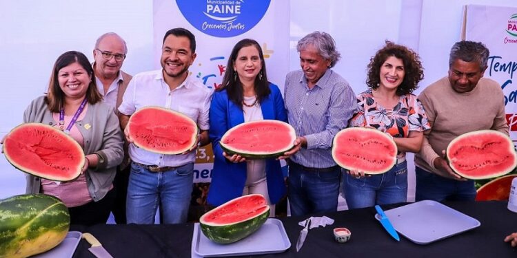 La temporada de sandías de Paine ya comenzó en Lo Valledor.