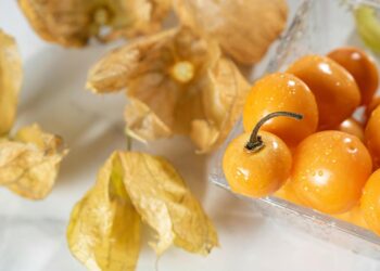 Estudio de la U. de Chile muestra que el golden berry tiene un efecto antiinflamatorio en la inflamación intestinal.