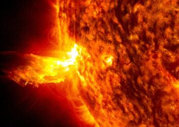 Descubrimiento crucial de investigadores de la U. de Chile