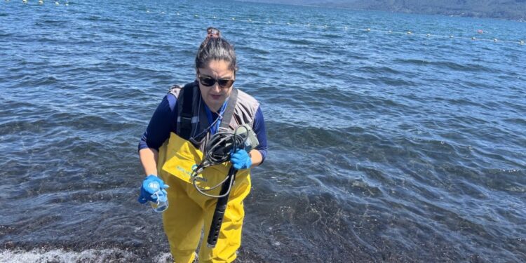 El Gobierno se compromete a que el Presidente Boric firme el Plan de Descontaminación del Lago Villarrica antes de dejar La Moneda – LAVOZDEPUCON