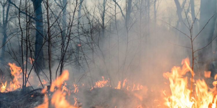 Gobernador Claudio Orrego y los equipos del CORE anuncian plan de apoyo ante la emergencia por incendios en Ñuble y Biobío.