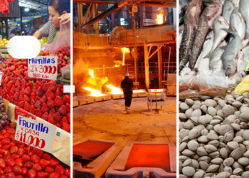 Imacec de noviembre: crecimiento de la economía chilena queda por debajo de lo esperado, complicando las metas del Gobierno.