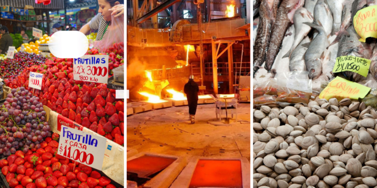 Imacec de noviembre: crecimiento de la economía chilena queda por debajo de lo esperado, complicando las metas del Gobierno.