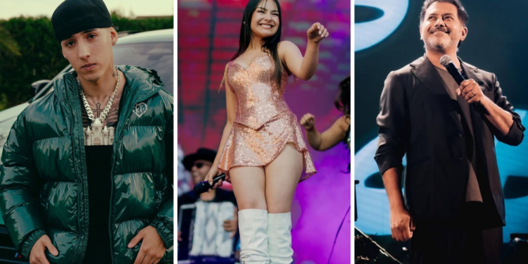 Música, humor y diversión: el Festival Vive Pelluhue 2026 se estrena con un impresionante cartel y entrada gratuita.