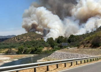 Curepto emite Alerta Roja por incendio forestal próximo a residencias.