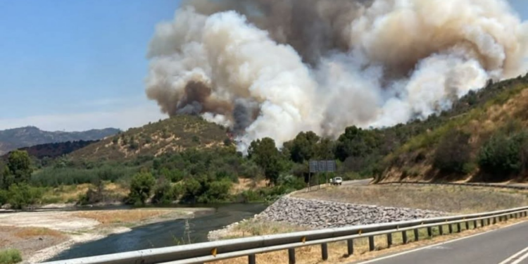 Curepto emite Alerta Roja por incendio forestal próximo a residencias.
