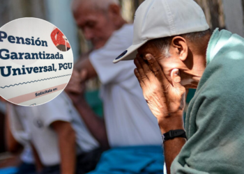 No se trató de un error, sino de un horror: la suspensión de la PGU genera controversia y requiere una investigación sobre fallas en los controles.