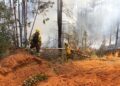 Conaf instó a prevenir incendios forestales debido a las altas temperaturas en la región de Valparaíso.