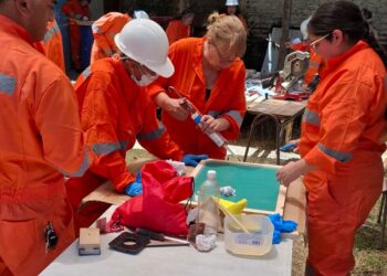 Construcción e Inteligencia Artificial (IA): las capacitaciones y cursos de oficios de Molymet, a la vanguardia dentro y fuera de Chile.