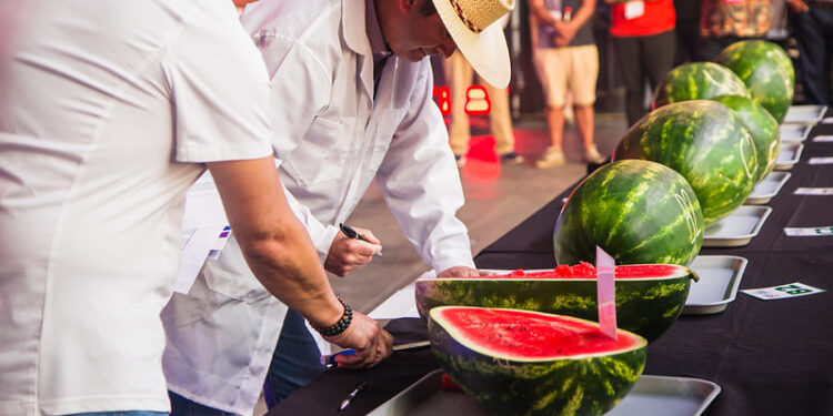 Paine se prepara para recibir a Chile en un solo lugar: ¡Expo Paine Rural 2026!