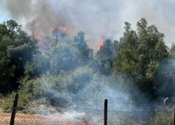 Incendio forestal en Cabrero puso en riesgo aproximadamente 70 viviendas.