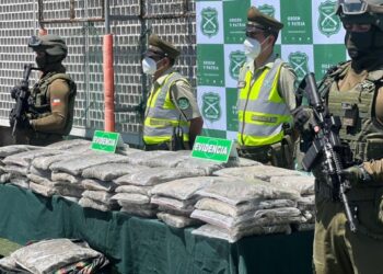 Confiscan casi una tonelada de marihuana en la primera gran operación antidrogas de 2026 en Antofagasta.