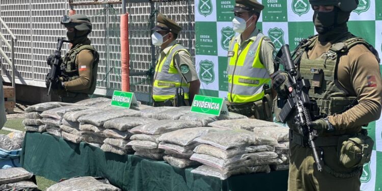 Confiscan casi una tonelada de marihuana en la primera gran operación antidrogas de 2026 en Antofagasta.