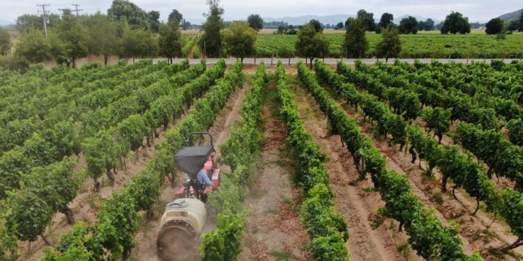 Se insta a informarse sobre la nueva obligación de notificar el uso de aplicaciones de plaguicidas tóxicos para las abejas.