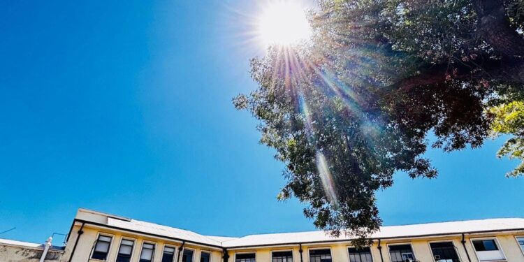 Alerta por calor extremo en Chile: expertos recomiendan hidratarse cada hora y evitar golpes de calor.