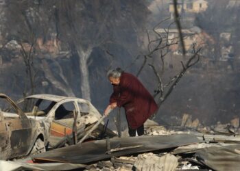 Fundación Las Rosas lanza campaña para ayudar a personas mayores damnificadas por incendios.
