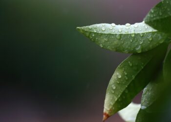 Santiago y sus alrededores experimentan una baja temporal en las temperaturas.