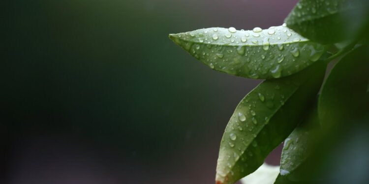 Santiago y sus alrededores experimentan una baja temporal en las temperaturas.