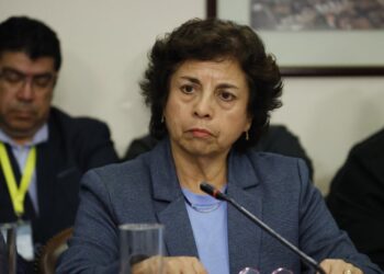 La Ministra Williams negó que hubiera un criterio político en la formación del directorio de NovaAndino.