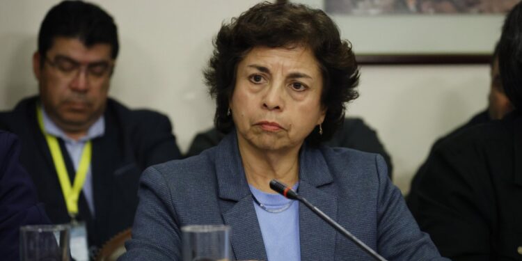 La Ministra Williams negó que hubiera un criterio político en la formación del directorio de NovaAndino.