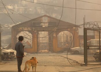 Empresas de telecomunicaciones ofrecen servicios gratuitos debido a los incendios en las regiones de Ñuble y Biobío.