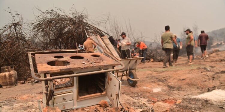 Las fiscalías de Ñuble y Biobío han comenzado investigaciones para determinar los orígenes de los devastadores incendios forestales.