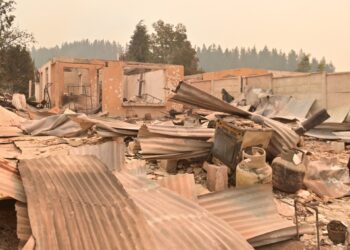 La Araucanía reporta aproximadamente 60 arrestos por incendios en la temporada.