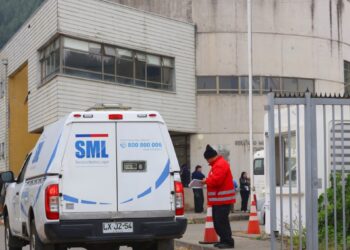 Aumentan a 20 las víctimas de incendios forestales en Ñuble y Biobío, según el SML.