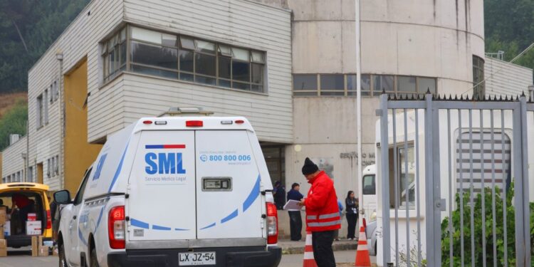 Aumentan a 20 las víctimas de incendios forestales en Ñuble y Biobío, según el SML.