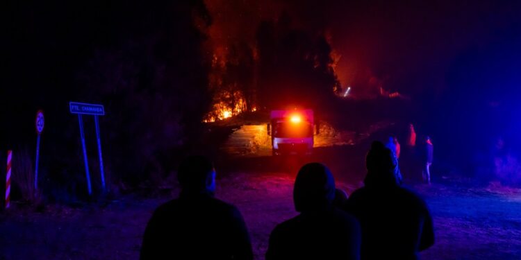 Conaf reporta 15 incendios en combate y 46 controlados en el territorio nacional.