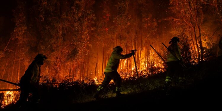 Detienen a dos personas por quemas y traslado de combustible durante incendios forestales en Ñuble y Biobío.