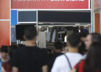 Este lunes 5 se publican los resultados de la PAES: las universidades ofrecen más de 2.000 carreras durante el periodo de postulaciones.