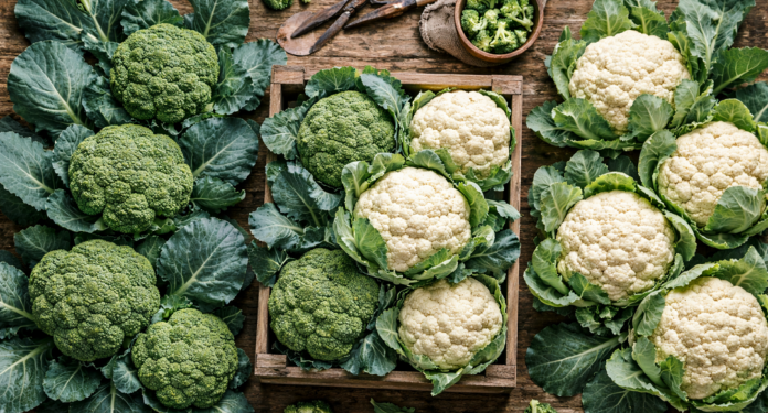 Transforman residuos de brócoli y coliflor en bioinsumos para una agricultura más sostenible.