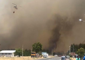 Aeronaves y brigadas de CMPC están en acción en Biobío y La Araucanía para enfrentar cinco incendios forestales activos.