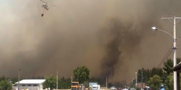 Aeronaves y brigadas de CMPC están en acción en Biobío y La Araucanía para enfrentar cinco incendios forestales activos.