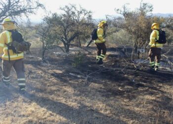 El incendio forestal en San Antonio ha consumido 35 hectáreas y continúa «en combate».