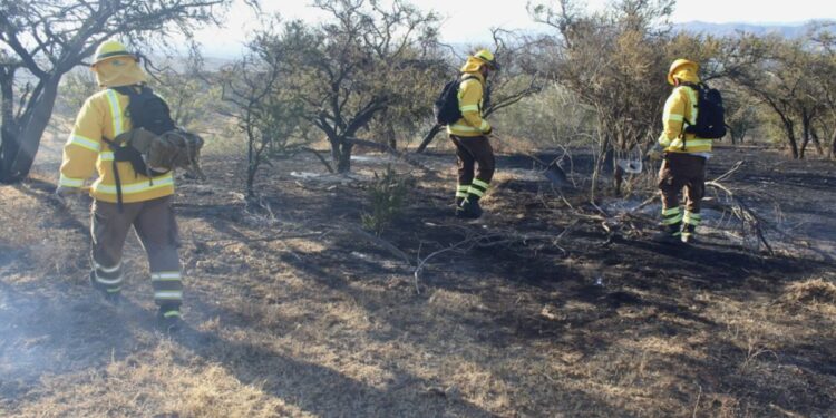 El incendio forestal en San Antonio ha consumido 35 hectáreas y continúa «en combate».