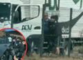 [VIDEO] Violenta encerrona en Vespucio Norte: delincuentes se robaron al chofer y el camión cargado.