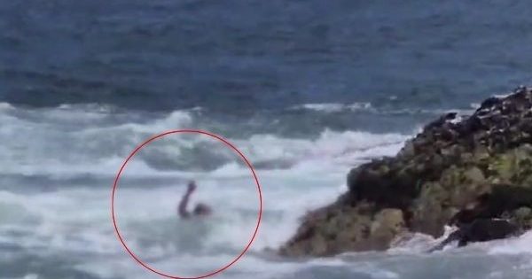 [VIDEO] Delito y escape: atrapan a prófugo condenado por homicidio después de que se lanzó al mar.