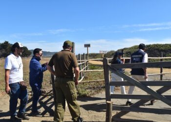 Autoridades y Carabineros verifican acceso a playa Las Cruces en Paredones para asegurar entrada libre.