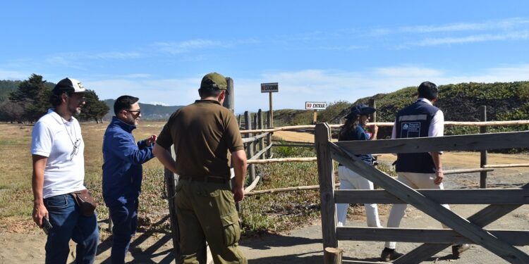Autoridades y Carabineros verifican acceso a playa Las Cruces en Paredones para asegurar entrada libre.