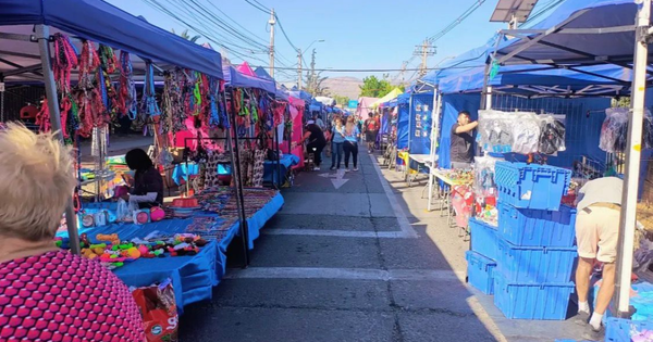 Cámara aprueba ley que fortalece y da reconocimiento a las ferias libres.