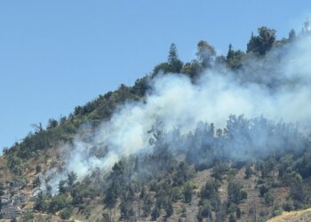 Incendio forestal impacta la ladera sur del Parque Metropolitano en el cerro San Cristóbal.