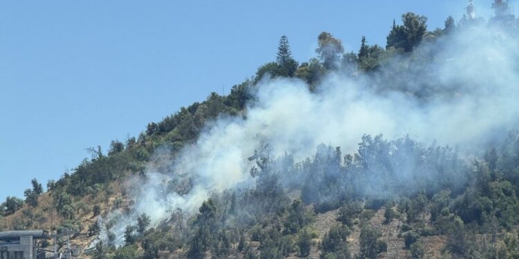 Incendio forestal impacta la ladera sur del Parque Metropolitano en el cerro San Cristóbal.