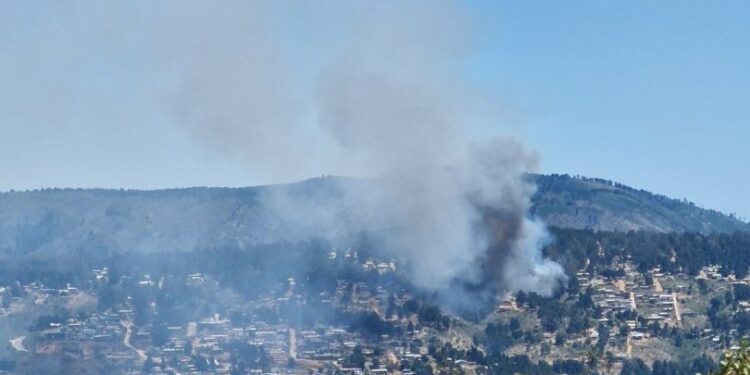Se emite Alerta Roja en Valparaíso debido a un incendio forestal en Laguna Verde, que avanza cerca de áreas habitadas.