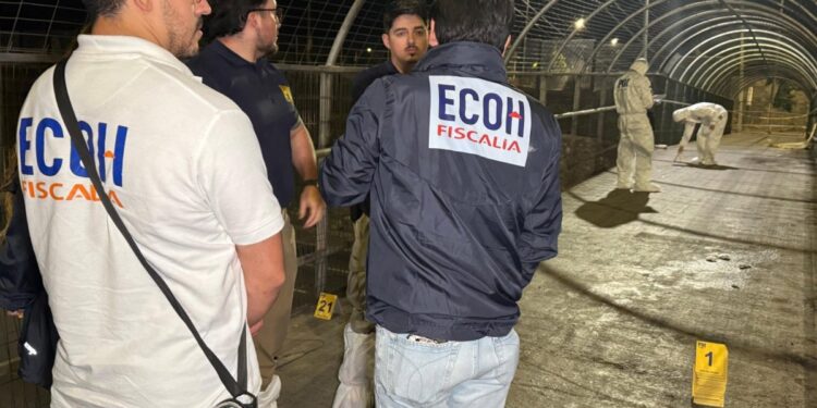 Tiroteo en una pasarela de Puente Alto deja a tres personas gravemente heridas.