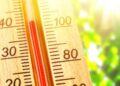 Los Ángeles experimentará temperaturas extremas este sábado 3 de enero, con pronósticos de casi 40 grados.