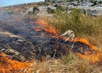 Detienen a hombre por iniciar un incendio en Mulchén.