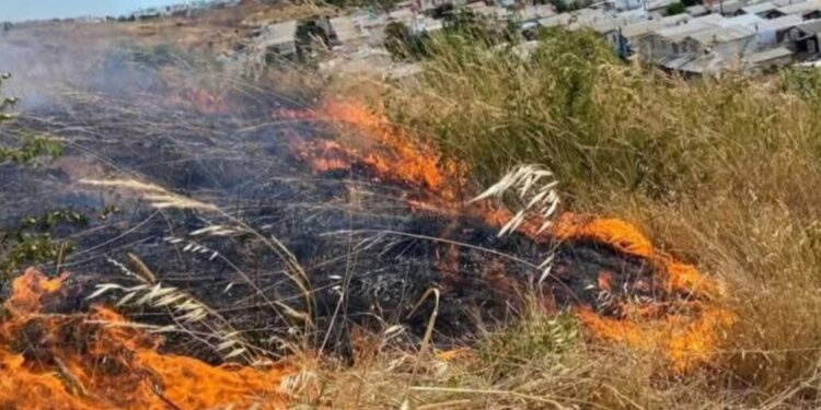 Detienen a hombre por iniciar un incendio en Mulchén.
